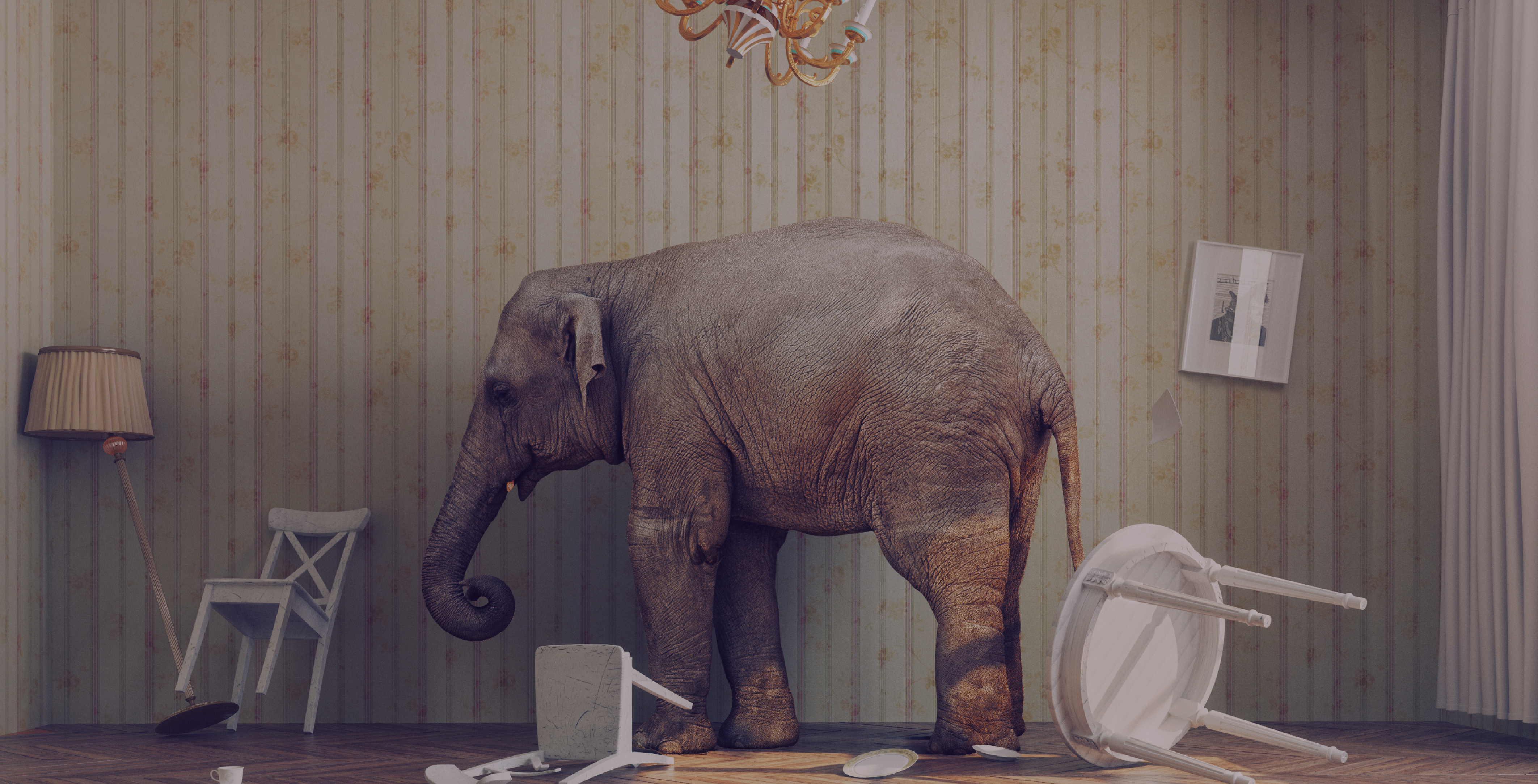 Elephant in a room symbolizing the end of ERP systems, highlighting the shift in modern digital landscapes.