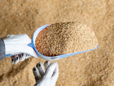 How can the animal feed industry benefit from the Cloud?