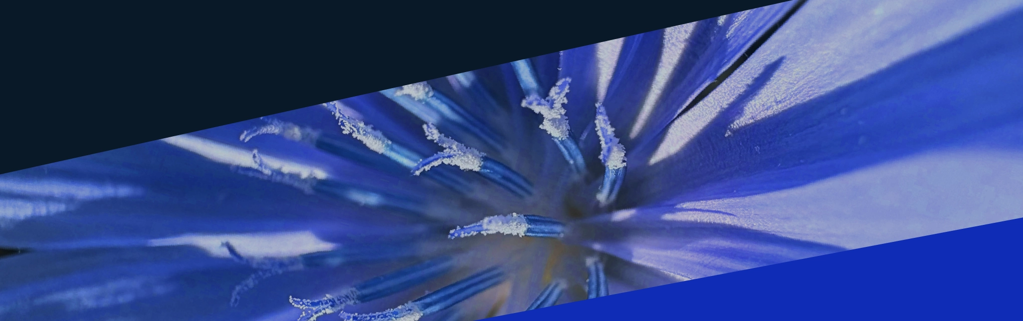 Agentic AI enterprise transformation