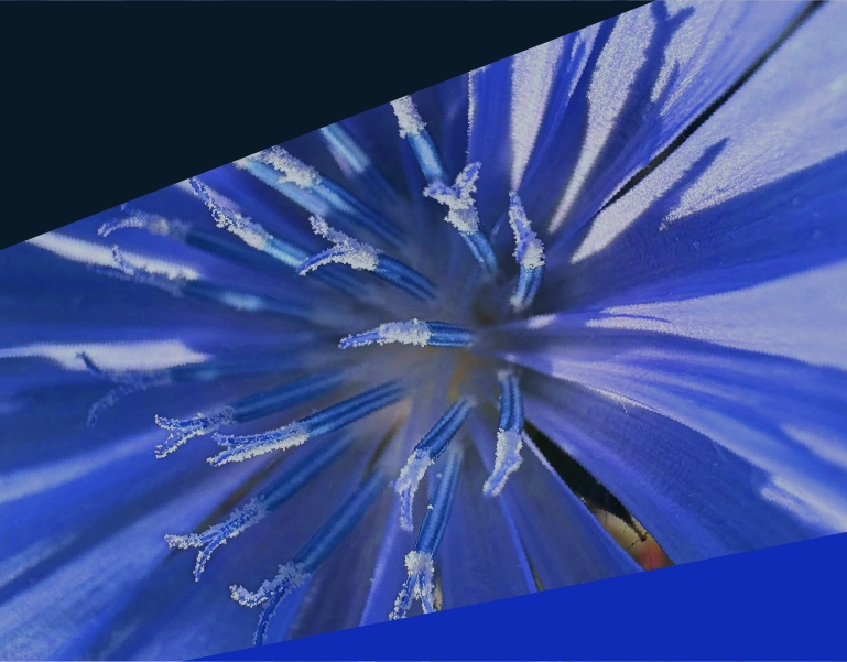 Agentic AI enterprise transformation