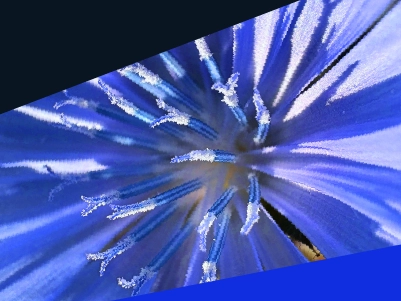 How agentic AI is driving the next wave of enterprise transformation