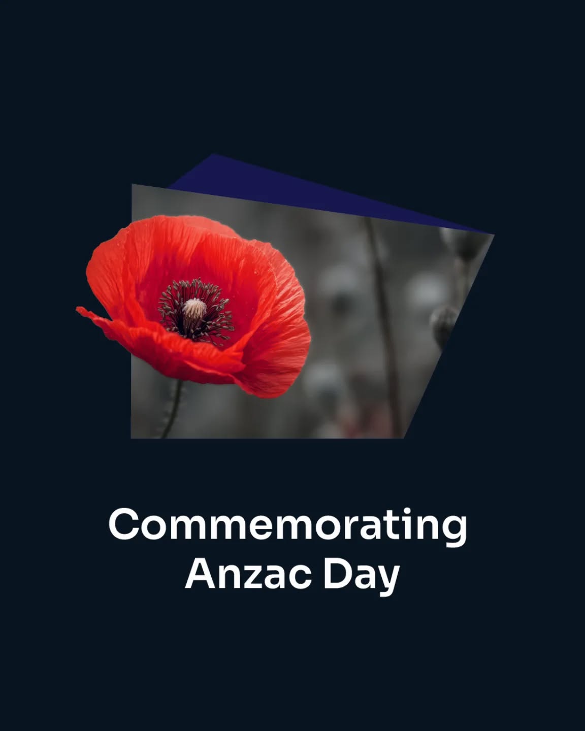 On ANZAC Day, we pause to remember those who served and reflect on the value of peace and the importance of human life.