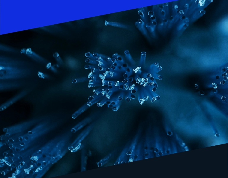 Infor M3 ERP pain points