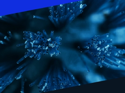 From the threads: The most common Infor M3 pain points (according to Reddit) and how to fix them